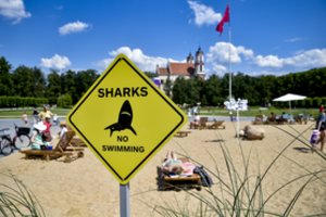 Lukiškių aikštės paplūdimį vertino ir VRK, ieškojo paslėptos reklamos