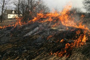 Ragina atkreipti dėmesį į pernykštės žolės deginimą: 90 proc. gaisrų kyla dėl neatsargaus elgesio