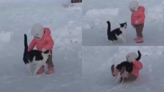 Internautus juokina su augintiniu žaidžianti mergaitė: besimeilindama katė mažametę tiesiog išverčia iš kojų