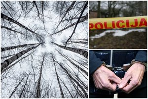 Aiškėja baisios nelaimės Ukmergės r. miške aplinkybės – nužudyta mergina pažinojo įtariamąjį