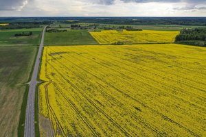 Ekologiniuose ūkiuose staigių permainų nebūna – kruopščiai suplanuota sėjomaina ten ypač svarbi