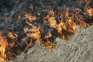 Primena ir perspėja: už tokį elgesį gresia baudos