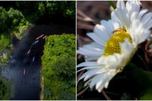 Savaitgalį – šiais metais dar neregėta šiluma: pagaliau sulauksime tikro pavasario