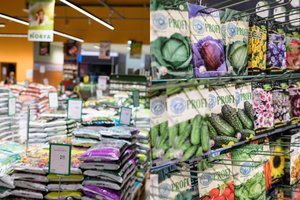 Pandemijos negandas lietuviams padeda pamiršti rūpinimasis sodais ir daržais