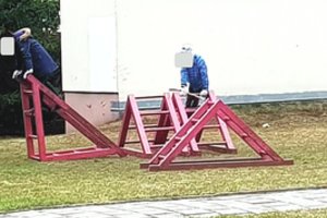 Ekstremali veikla – nuo mažens: Vilniaus rajonas augina alpinistus