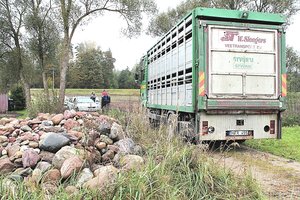 Kraupi drama Šilalės rajone: ramaus būdo ūkininkas po sandorio ganykloje nužudė verslininką