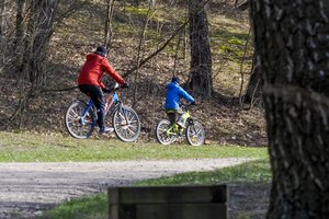 Ieškojo ramybės, o gaus judrią magistralę: bus kertami miškai, gyventojai priversti išsikraustyti
