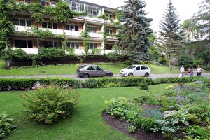 Pakvietė vilniečius sodinti medžius – reikia laikytis tik kelių taisyklių