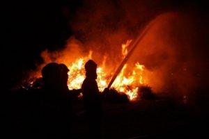 Savaitgalį liepsnojo gyvenamieji namai, ūkiniai pastatai, degė pernykštė žolė