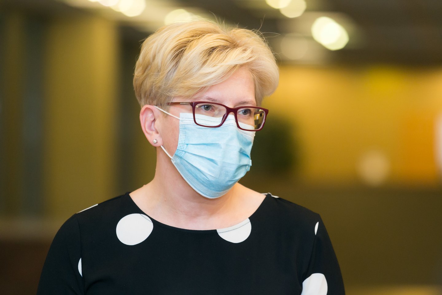 Ingrida Šimonytė<br>T.Bauro nuotr.