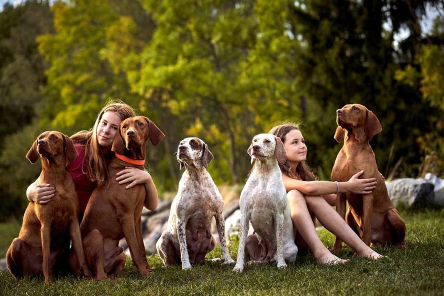  Irmos Širmenienės auginamos veislės šunys – geriausi šeimos draugai. Jais džiaugiasi ir didieji, ir mažieji šeimos nariai.“Tai šilti, draugiški, inteligentiški šunys, o svarbiausia puikūs kompanionai“, – pasakojo moteris.<br> Asmeninio albumo nuotr.