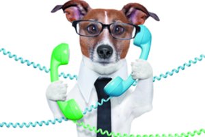 Ištyrė, kodėl šunys nekalba kaip žmonės: lygina su kūdikiais