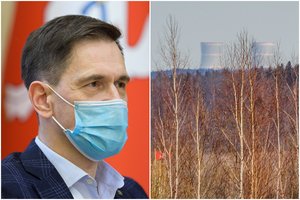 D. Kreivys: Baltarusija nebegauna pajamų iš Baltijos šalių už Astravo elektrą