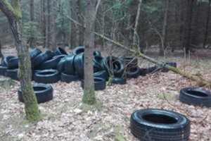 Miškininkų užfiksuoti vaizdai: žmonių elgesys kelia neviltį