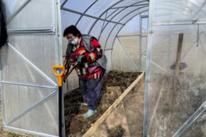 Šiltnamių konstrukcijos ir formos: patyrę daržovių augintojai žino, kokias rinktis geriausiai