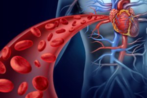 Kraujotakos sutrikimus turintiems žmonėms siūlo išeitį: padeda atsisveikinti su šąlančiomis kojomis, galvos svaigimu ir nemiga