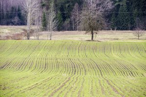Ekologinis ūkininkavimas: ką turi žinoti, siekiantys sulaukti paramos?