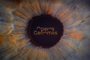 LNOBT ir „Operomanija“ kviečia naujosios operos kūrėjus