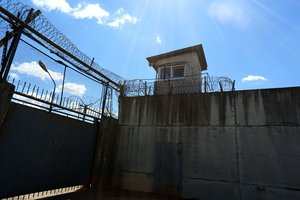 Kaunietis – pirmasis vadinamasis „bachūras“, prabilęs apie Pravieniškių mafiją, tarnus ir „kamorą“