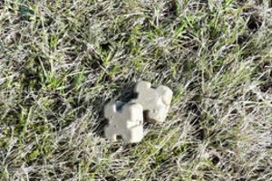 Perspėja Lietuvos gyventojus neliesti, jei tai pamatysite: radę netoli namų – skubiai praneškite