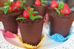 Desertiniai vazonėliai ir stalą papuoš, ir smaližius sužavės 