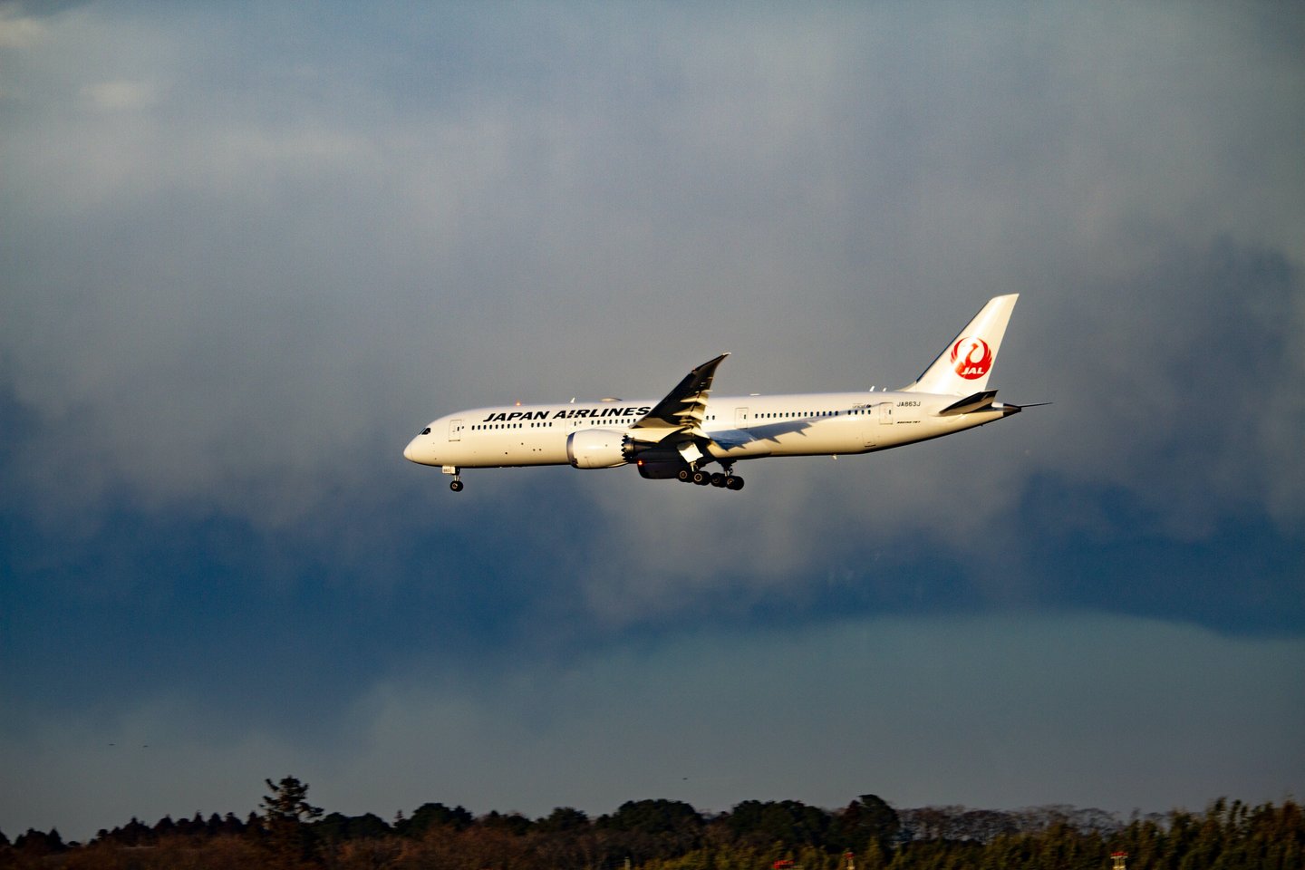 Lėktuvai dažomi baltai, nes ši spalva atspindi saulės šviesą ir padeda išvengti paviršiaus įkaitimo.<br>www.unsplash.com nuotr.
