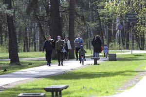 Ramų poilsį gamtoje gali apkartinti mirtina liga: pasakė kaip apsisaugoti