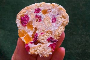 Kokosinis „Tinginys“, kuriam gaivumo suteiks džiovintos spanguolės ir abrikosai 