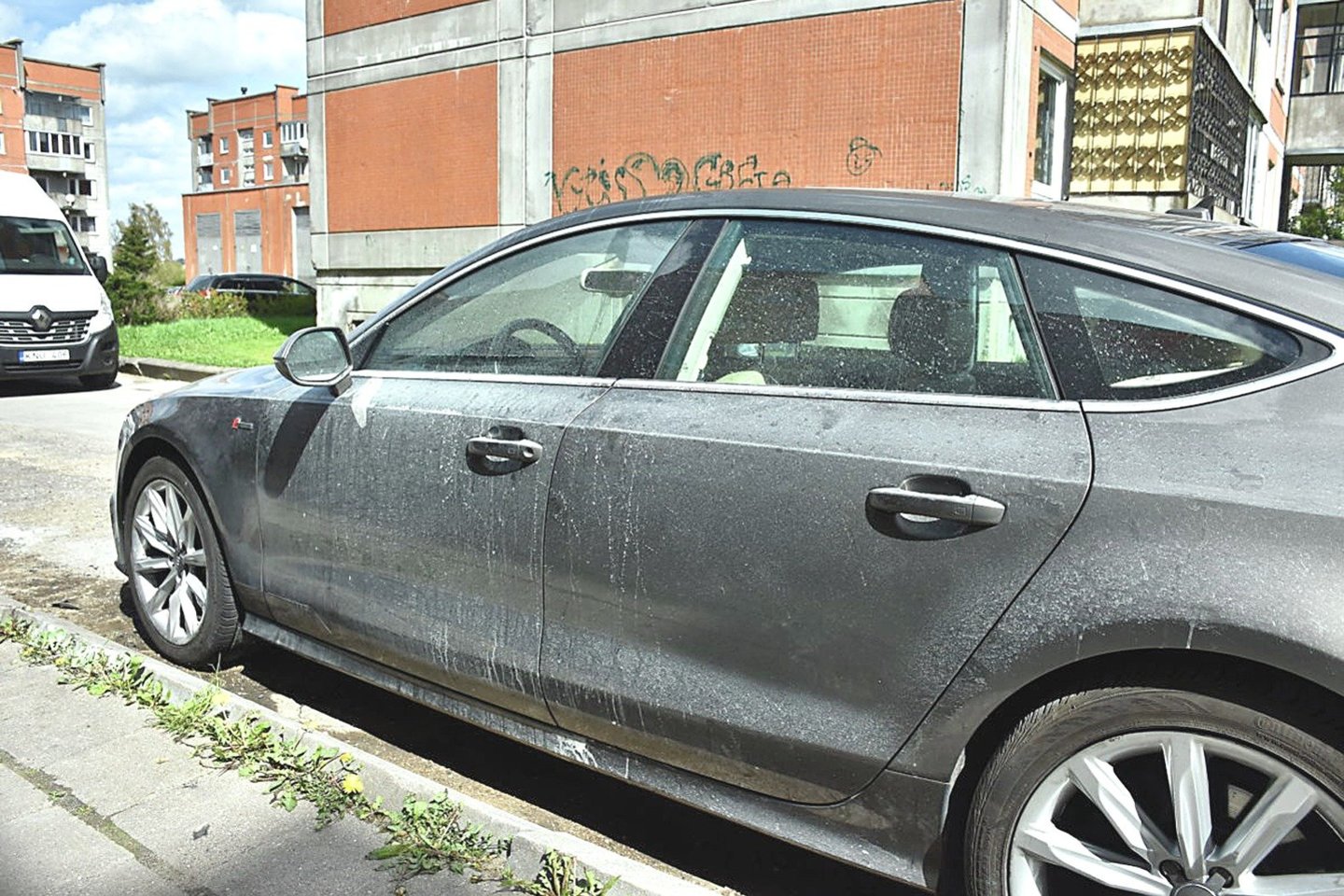 M.Kaunas neapsiriko – jo automobilį „Audi A7“ kėsinosi sudeginti Plungės savivaldybės veikla nepatenkinti asmenys.<br>G.Pilaičio nuotr.
