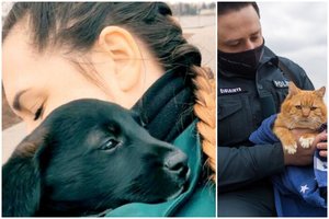 Fotosesija su beglobiais suvirpino Biržų pareigūnų širdis ir pakeitė šuns gyvenimą: šanso laukia katinas