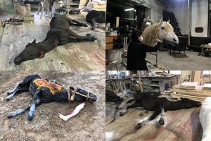 Lietuvis kuria ekrane šiurpą keliančius vaizdus: net akyla akis sunkiai atskirtų, kad šie gyvūnai nėra tikri