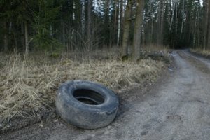 Parlamentarai pradėjo svarstyti siūlymą konfiskuoti šiukšlintojų automobilius