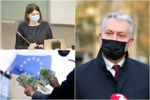 Ekonomikos gaivinimo planas neatsigina kritikos: o kur pinigai verslui?