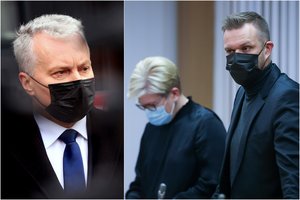 Vytautas Bruveris. Nesiliaujant konservatorių ir Prezidentūros stumdymuisi Lietuvoje būta ir daugiau šurmulio