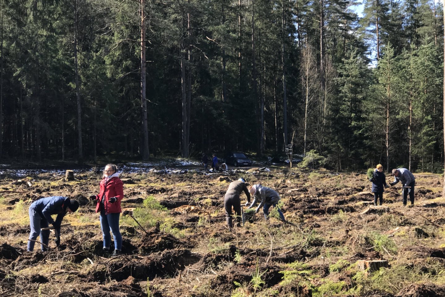 Šalčininkų rajone pasodinta 10 tūkst. medžių, kuriuos saugos specialus fondas.<br>Organizatorių nuotr.