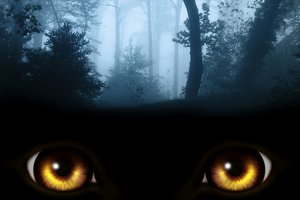 Tamsaus miško hipotezė – nerimą keliantis paaiškinimas, kodėl mūsų dar neaplankė ateiviai