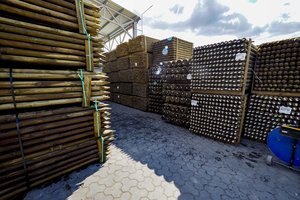 Po kelerių metų visuomeninių pastatų statybose vyraus vienintelė medžiaga – Lietuvoje jos netrūksta