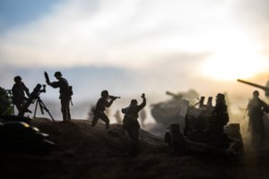 Kam kariuomenėje reikalingi minosvaidžiai? Paaiškino jų esminius skirtumus