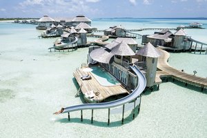 Pasaulio turtuoliai nuo koronaviruso slepiasi ypatingame kampelyje