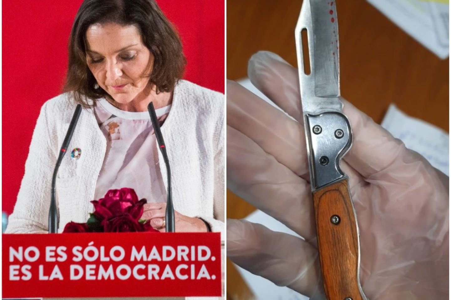  Ministrė parodė nuotrauką, kurioje matyti raudonomis dėmėmis išmargintas peilis.<br>Lrytas.lt koliažas.