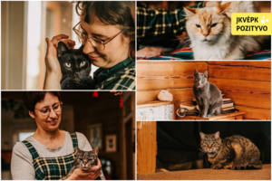 Šeima savo namuose priglaudė 10 kačių: kritikuojantiems, kad tai patologija – atkirtis