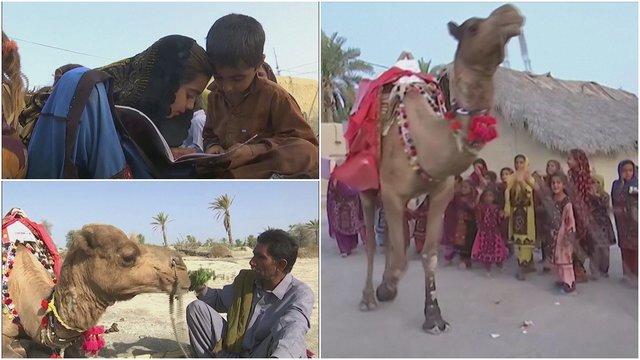 Šis kupranugaris Pakistano kaimuose yra itin laukiamas  – mažiesiems į dykumą atneša knygas
