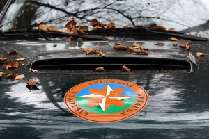 Pradėtas tyrimas dėl Vilnioje galimai žūstančių lašišų ikrų