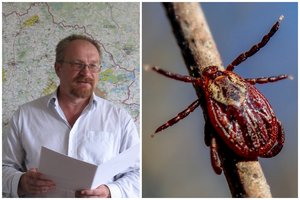 Biologas įspėja: Lietuvoje atsirado nauja erkių rūšis, dėl vienos jos ypatybės saugotis reikia ištisus metus