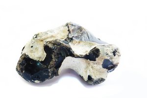 Rokiškio muziejui padovanojo įspūdingą archeologinį eksponatą