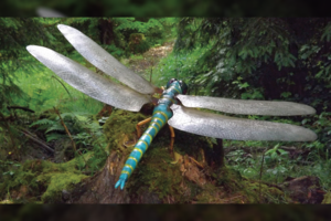 Anksčiau Žemėje gyveno milžiniški laumžirgiai. Kodėl šiandien jų nebėra?