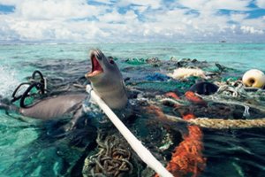 Mokslininkas įspėja: pandemija – žmogaus pralaimėjimo gamtai ženklas