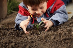 Tvaraus ūkininkavimo principai: rūpestis žeme svarbus nuo mažumės