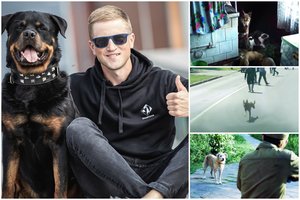 Serialui „Černobylis“ 30 šunų paruošęs dresuotojas Karolis atskleidė, ko jautriose scenose neišvydo žiūrovai