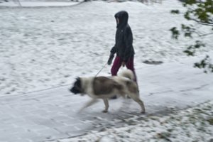 Po giedro šeštadienio orai vėl bjurs – stiprus vėjas atgins lietų ir šlapdribą